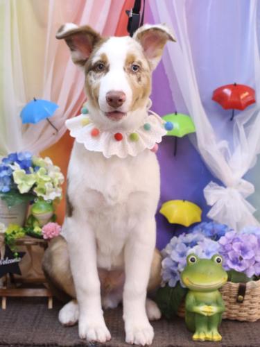 20230627レイくん